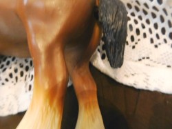 HORSE CLYD 1 VIEW
